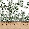 6/0 Spray Paint Fringe Glass Seed Beads SEED-H003-11I-4