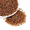 8/0 Glass Seed Beads SEED-A005-3mm-22C-1