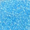 Transparent Colours Glass Seed Beads SEED-P007-02A-10-3