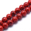 Sea Shell and Synthetic Turquoise Assembled Beads Strands G-G758-11-6mm-1