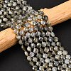 Natural Labradorite Beads Strands G-K389-B66-01-1