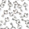 Gifts Ideas for Her Tibetan Style Alloy Charms LF11975Y-4