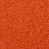 MIYUKI Round Rocailles Beads X-SEED-G007-RR0139-3