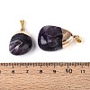 Natural Amethyst Pendants G-N360-05G-06-3