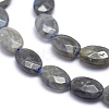 Natural Labradorite Beads Strands G-K223-62B-3