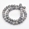 Natural Map Stone/Polychrome Jasper/Picasso Stone/Picasso Jasper Beads Strands G-D657-4mm-2