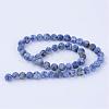 Natural Blue Spot Jasper Beads Strands G-Q462-10mm-06-2