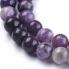 Natural Lepidolite/Purple Mica Stone Beads Strands G-K415-8mm-4