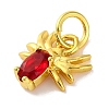 Rack Plating Brass Micro Pave Cubic Zirconia Charms KK-F881-02G-3