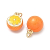 Brass Enamel Pendants KK-H259-11C-G01-3
