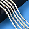 Natural Cultured Freshwater Pearl Beads Strand PEAR-N015-03B-6