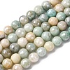Natural Amazonite Beads Strands G-O164-02-8mm-2