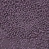 12/0 FGB Grade A Round Glass Seed Beads SEED-N001-A-1048-2