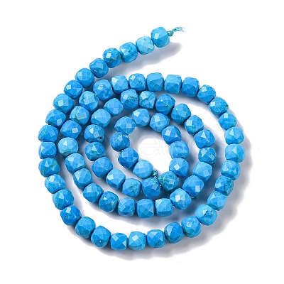 Natural Howlite Beads Strands G-G001-B02-04-1