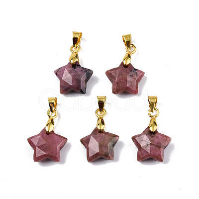 Natural Rhodonite Charms G-N326-142-05-1
