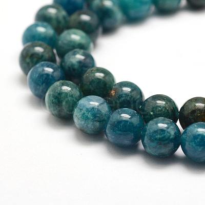 Natural Apatite Beads Strands G-F475-06-8mm-1