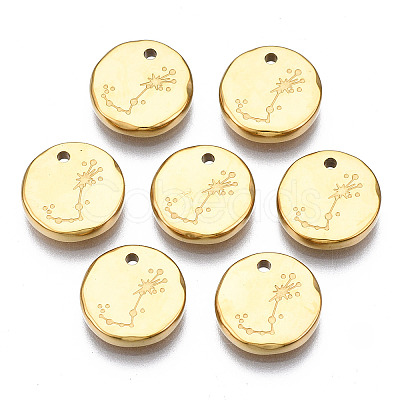 316 Surgical Stainless Steel Charms STAS-S116-418J-G-1