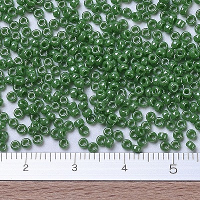 MIYUKI Round Rocailles Beads X-SEED-G007-RR0431-1