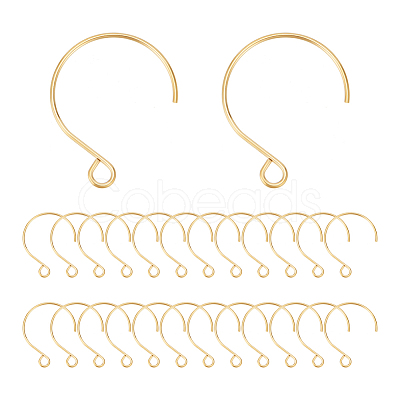 50Pcs Ion Plating(IP) 304 Stainless Steel Earring Hooks STAS-UN0058-52-1