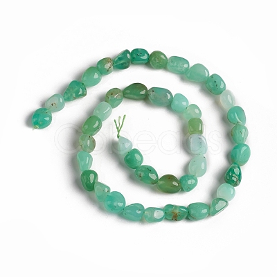 Natural Chrysoprase Beads Strands G-D0002-D65-1