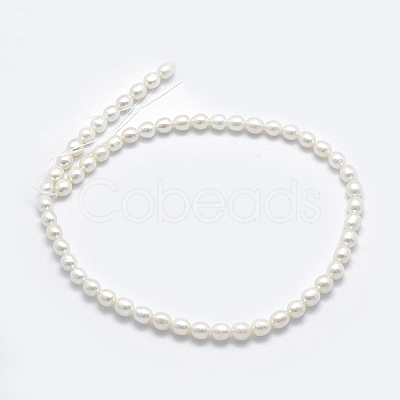 Natural Cultured Freshwater Pearl Beads Strands PEAR-K003-23D-01-1