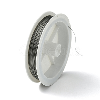 1 Roll Beading Wirer X-TWIR-70R0.35MM-1-1