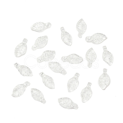 Transparent Acrylic Charms OACR-G054-02A-1