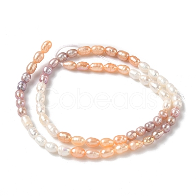 Natural Cultured Freshwater Pearl Beads Strands PEAR-C004-14A-1