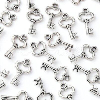 Gifts Ideas for Her Tibetan Style Alloy Charms LF11975Y-1