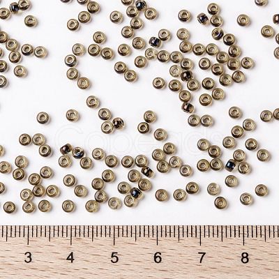 MIYUKI Round Rocailles Beads X-SEED-G008-RR0380-1