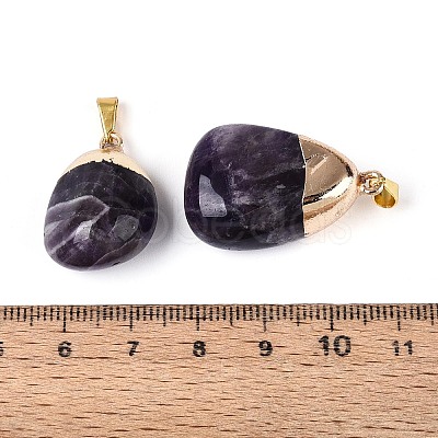 Natural Amethyst Pendants G-N360-05G-06-1