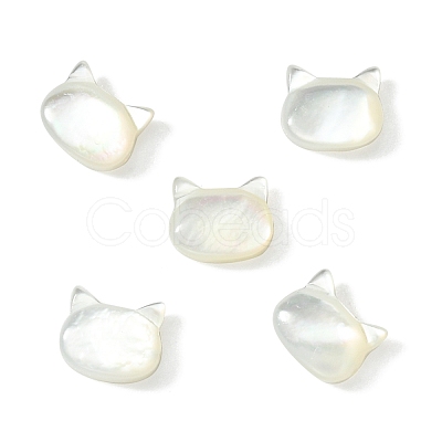 5Pcs Natural White Shell Beads BSHE-CJ0001-07-1