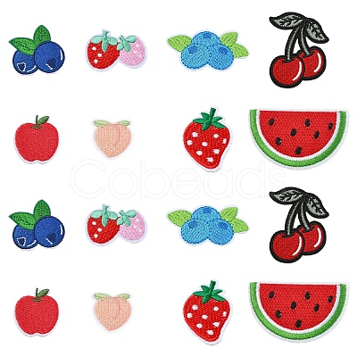 16Pcs 8 Styles Fruits Theme Computerized Embroidery Cloth Iron on Sew on Patches DIY-YW0018-24-1