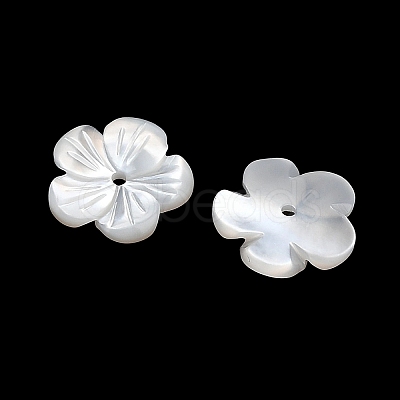 Natural White Shell Beads SH-CBA93AD-07B-1