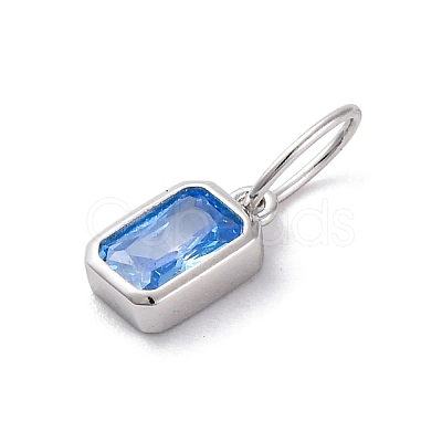 925 Sterling Silver Cubic Zirconia Charms STER-NH0014-01P-09-1