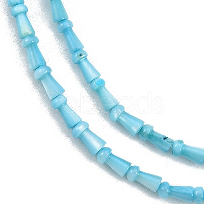Natural Freshwater Shell Beads Strands SHEL-G013-02C-1
