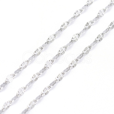 Tarnish Resistant 3.28 Feet 304 Stainless Steel Dapped Chains X-CHS-F011-15A-P-1