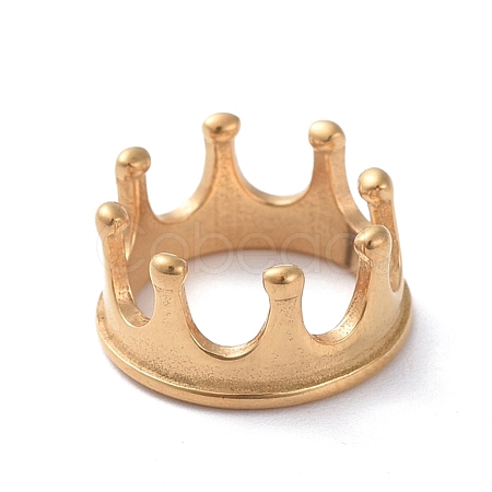 304 Stainless Steel Charms STAS-I127-078G-1