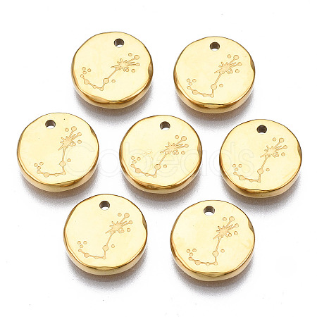 316 Surgical Stainless Steel Charms STAS-S116-418J-G-1