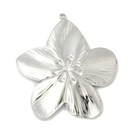304 Stainless Steel Pendants STAS-L293-09E-P-1
