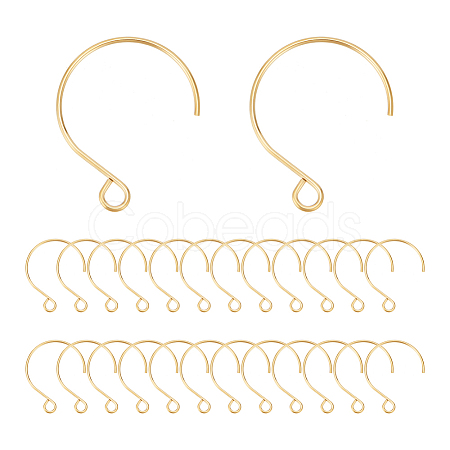50Pcs Ion Plating(IP) 304 Stainless Steel Earring Hooks STAS-UN0058-52-1