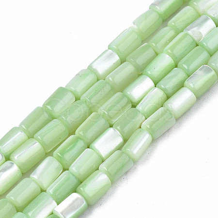 Natural Trochid Shell/Trochus Shell Beads Strands X-SHEL-N003-26-B08-1