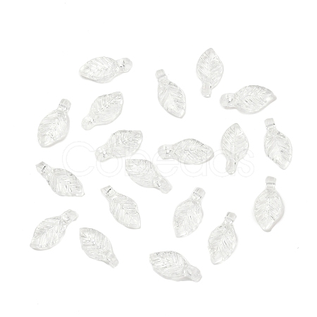 Transparent Acrylic Charms OACR-G054-02A-1