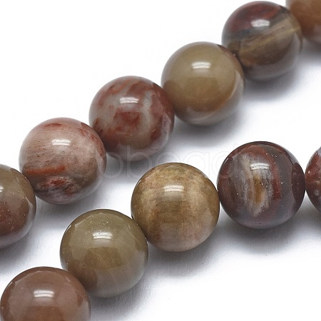 Natural Petrified Wood Beads Strands LS-G-I254-07B-1