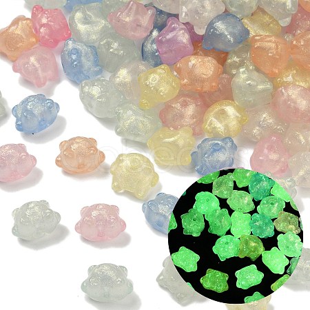 Luminous Transparent Acrylic Beads OACR-B031-19-1