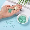 6/0 Glass Seed Beads SEED-A015-4mm-2219-5
