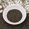 MIYUKI Delica Beads X-SEED-J020-DB1741-2