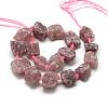 Natural Strawberry Quartz Beads Strands G-R421-05-2
