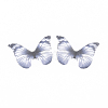 Polyester Fabric Wings Crafts Decoration X-FIND-S322-010C-08-2