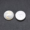 Shell Cabochons SSHEL-E568-B26-1